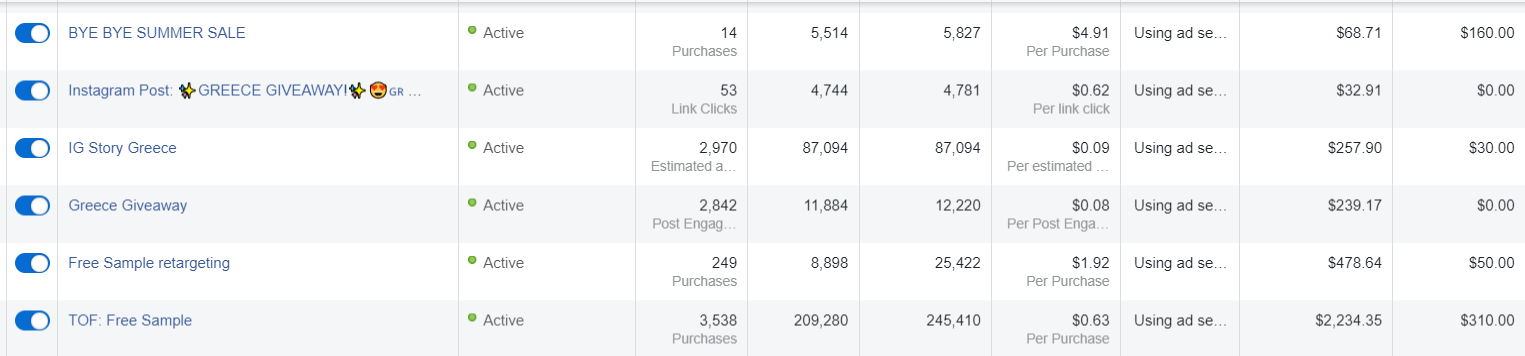 Achieves ROAS Of 436%=case-study-greylabel-2